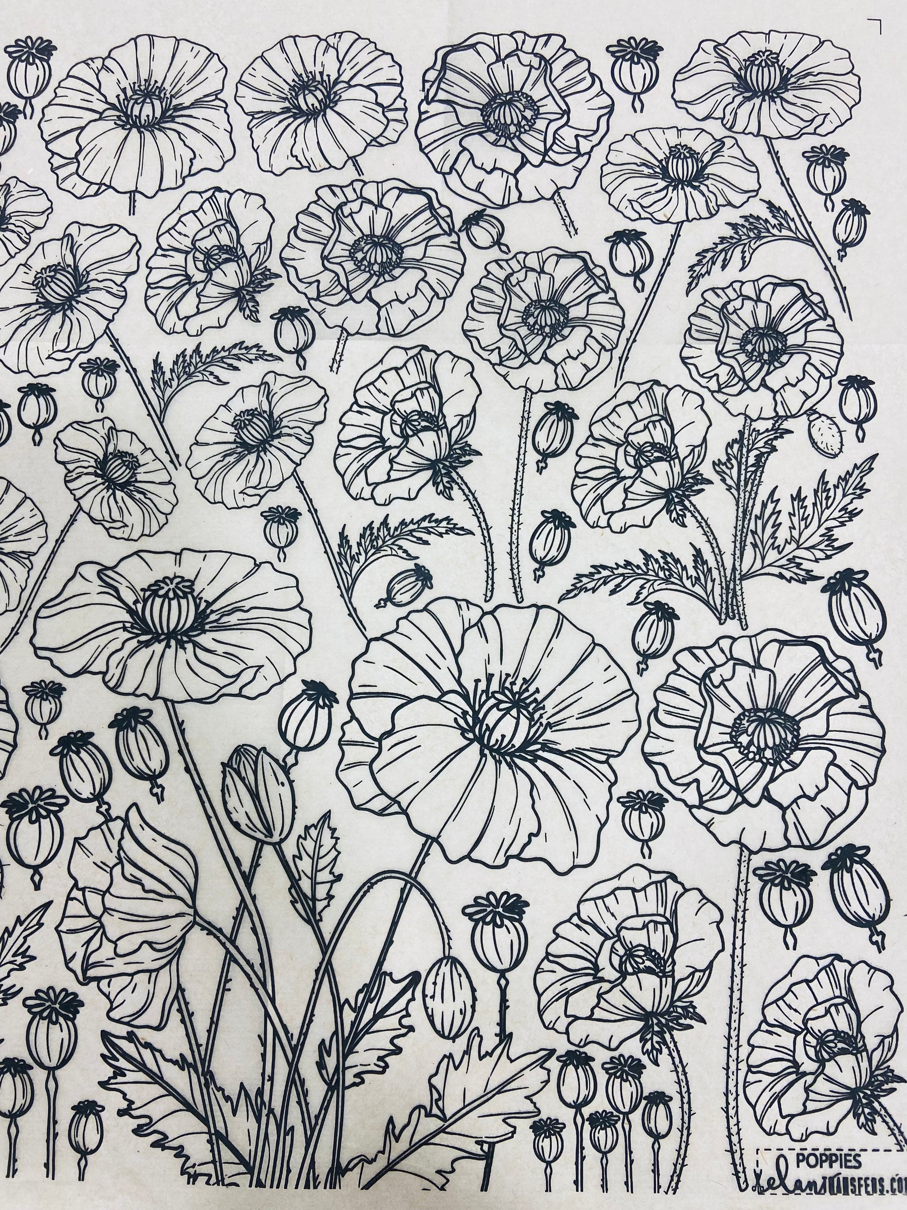 Poppies - Underglaze Transfer Sheet