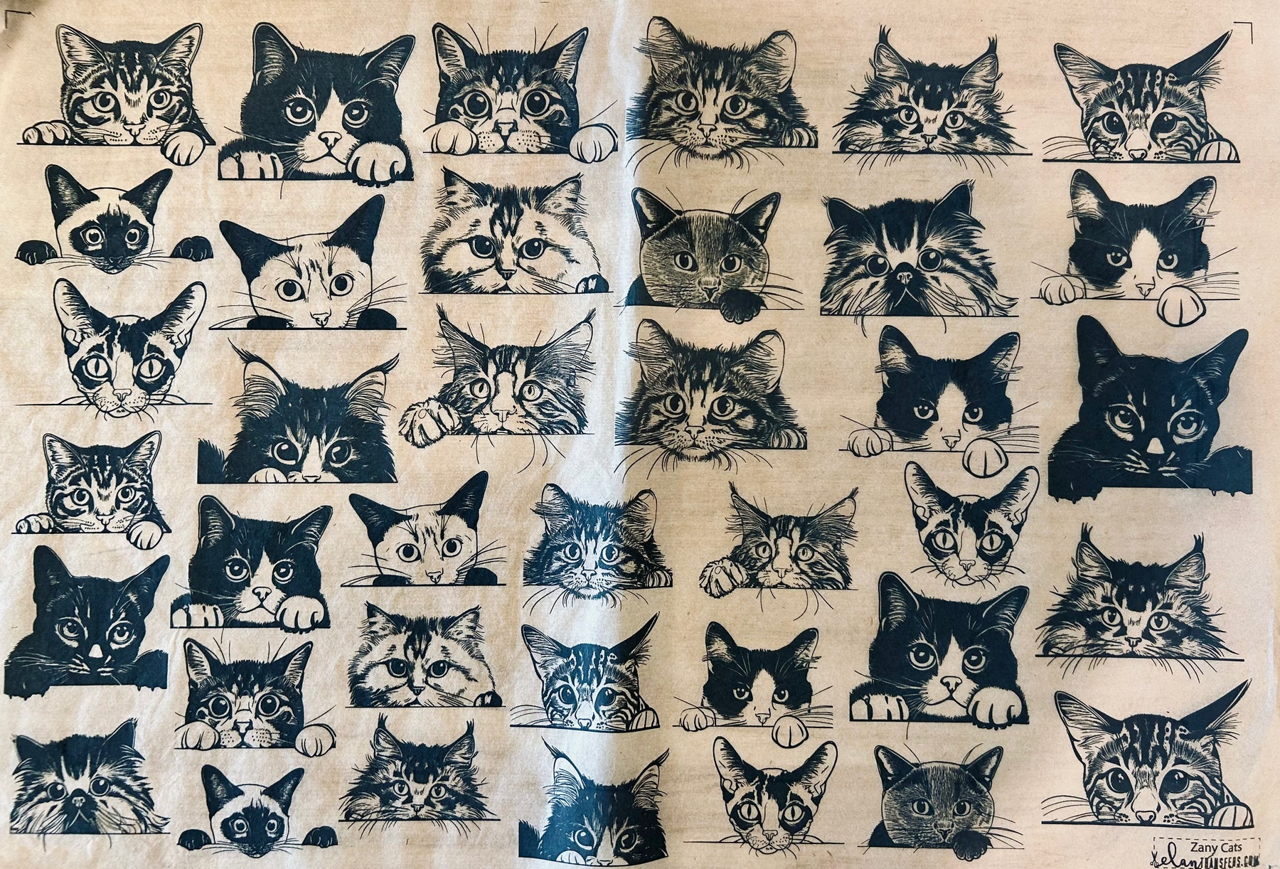 Zany Cats - Underglaze Transfer Sheet