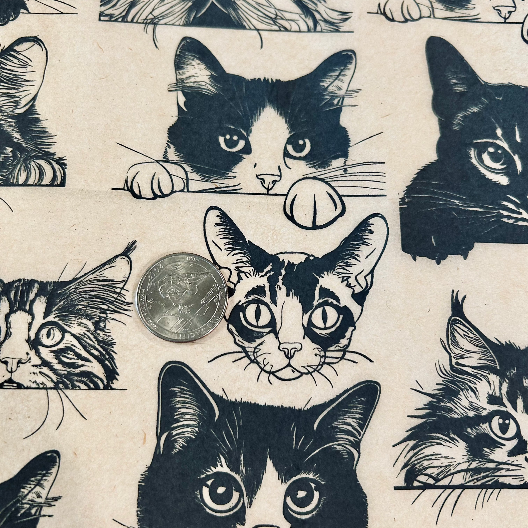 Zany Cats - Underglaze Transfer Sheet