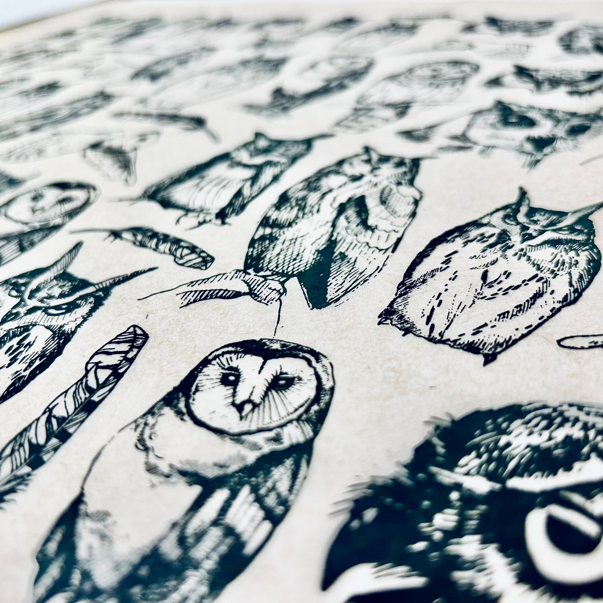 Owls - Underglaze Transfer Sheet