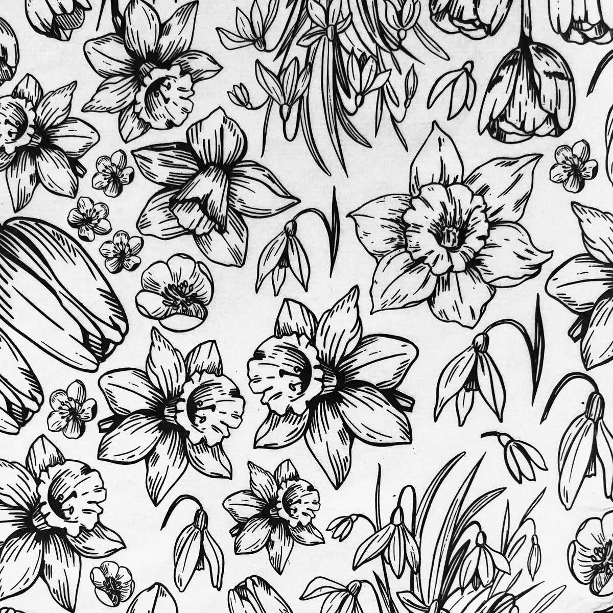 Spring Has Sprung - Underglaze Transfer Sheet