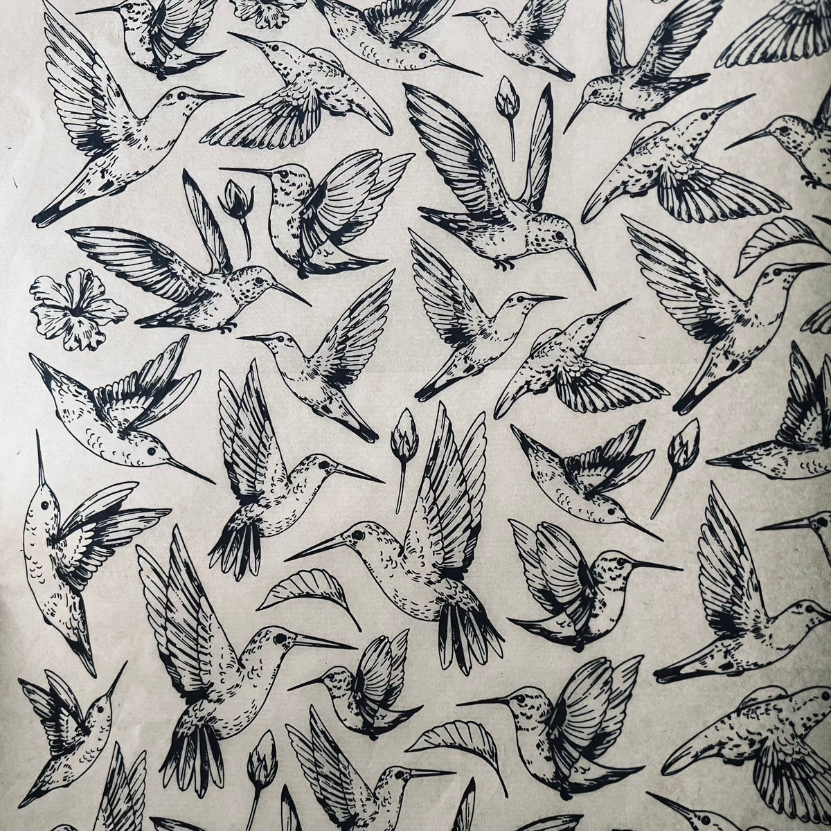 Hummingbirds - Underglaze Transfer Sheet