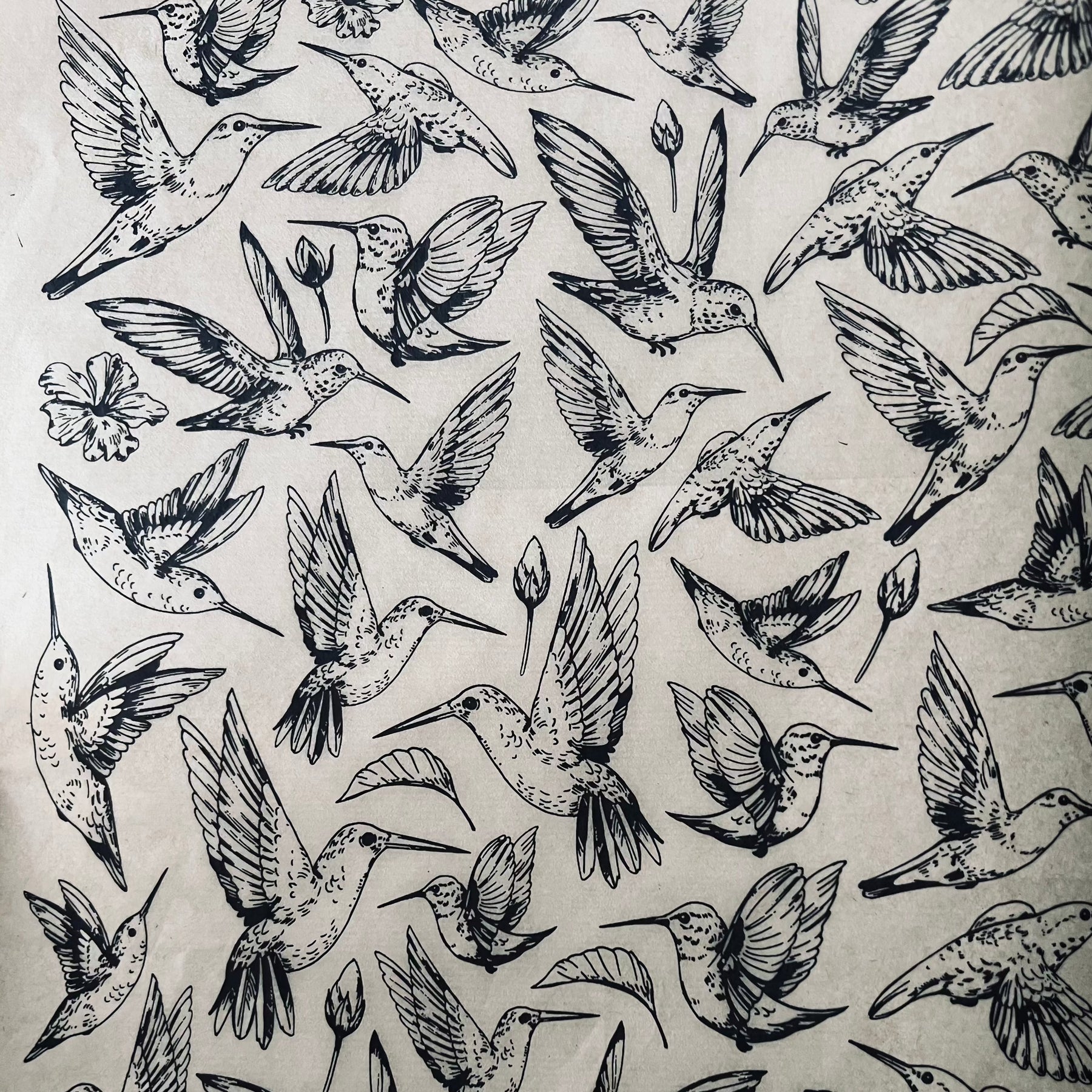 Hummingbirds - Underglaze Transfer Sheet