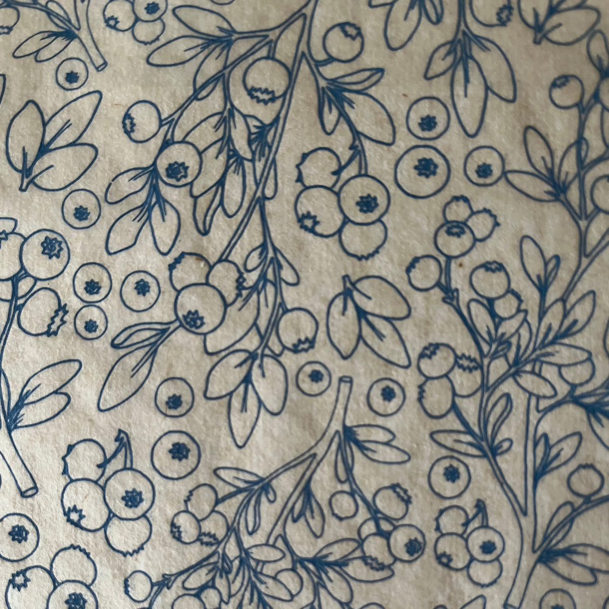 Blueberries - Underglaze Transfer Sheet