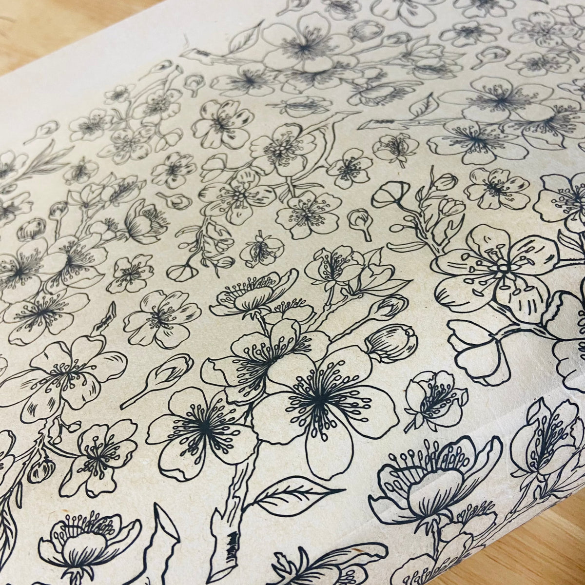 Cherry Branches - Underglaze Transfer Sheet