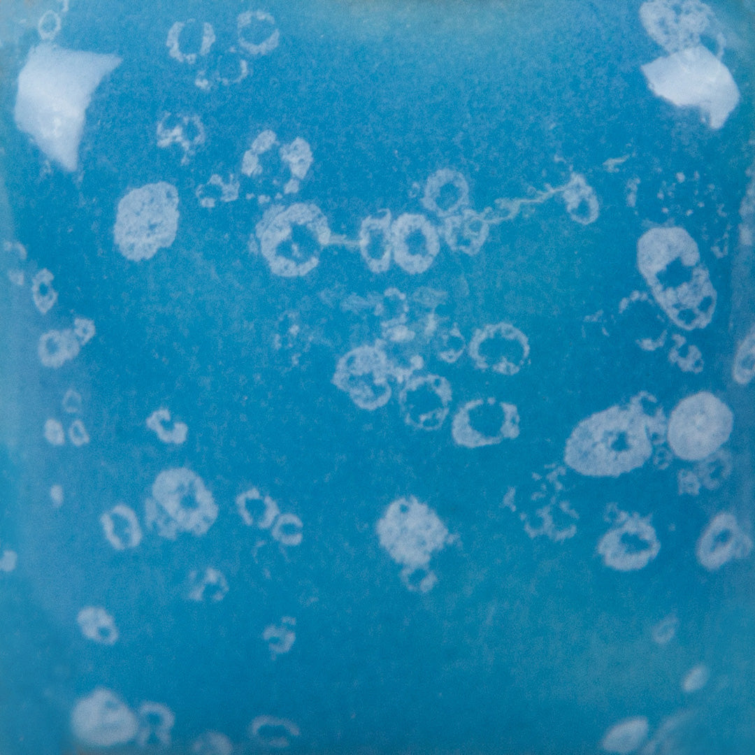 Speckled Blue Yonder