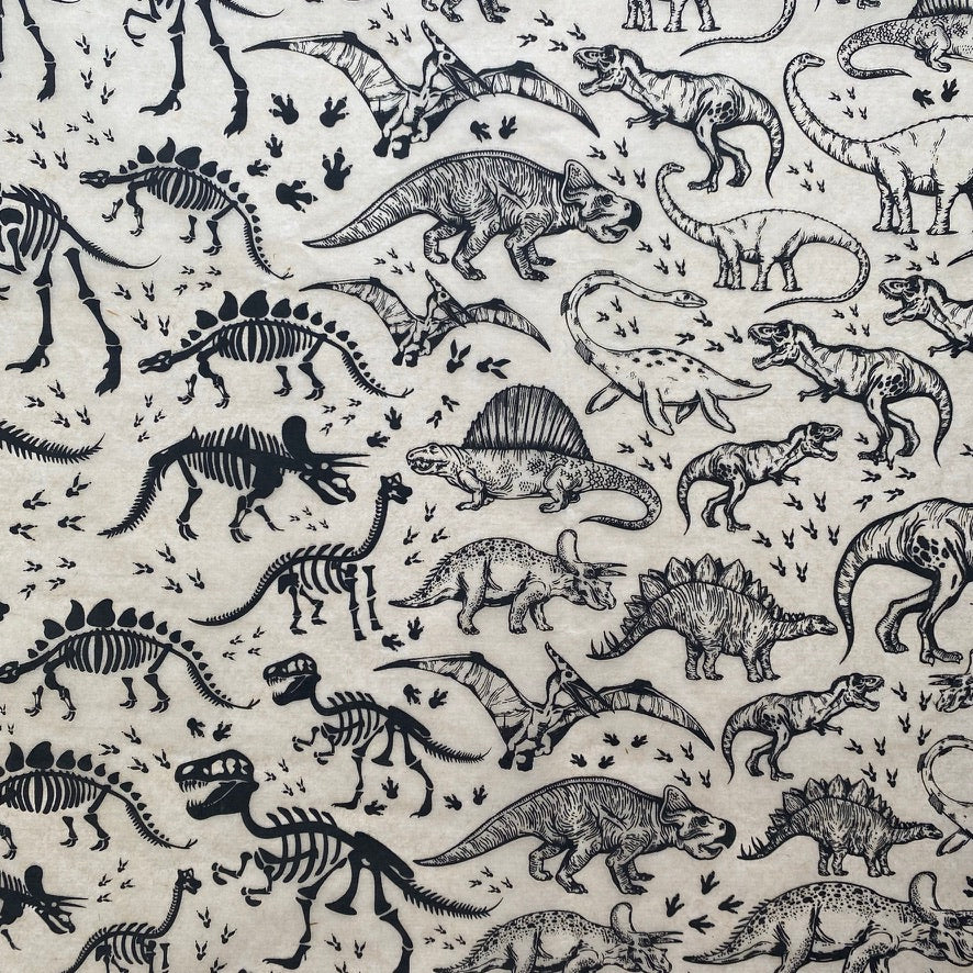 Dinosaurs - Underglaze Transfer Sheet