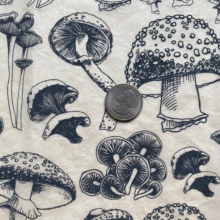 Mushrooms Natural - Underglaze Transfer Sheet