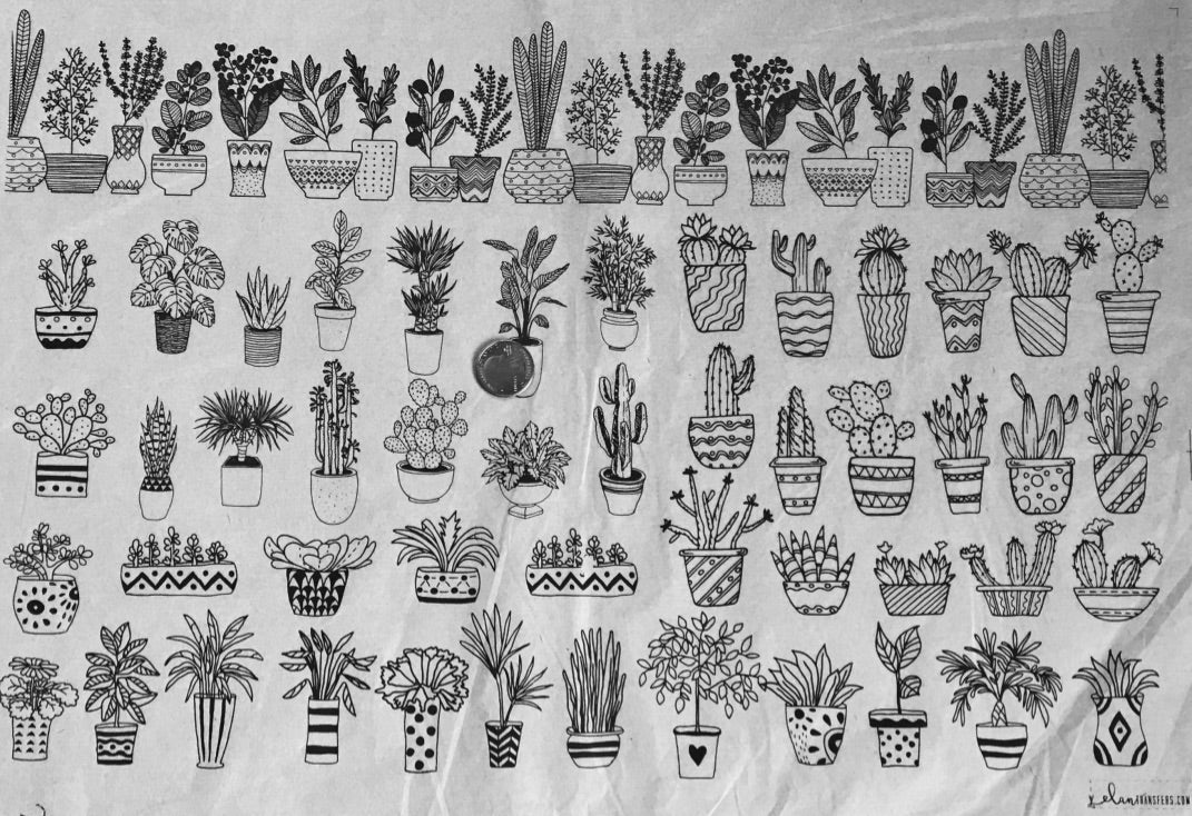 Potted Plants - Underglaze Transfer Sheet