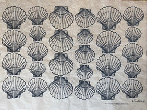 Shells Scallop - Underglaze Transfer Sheet