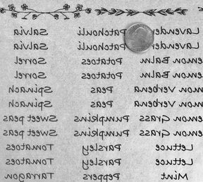 Herb / Veggie Names - Underglaze Transfer Sheet