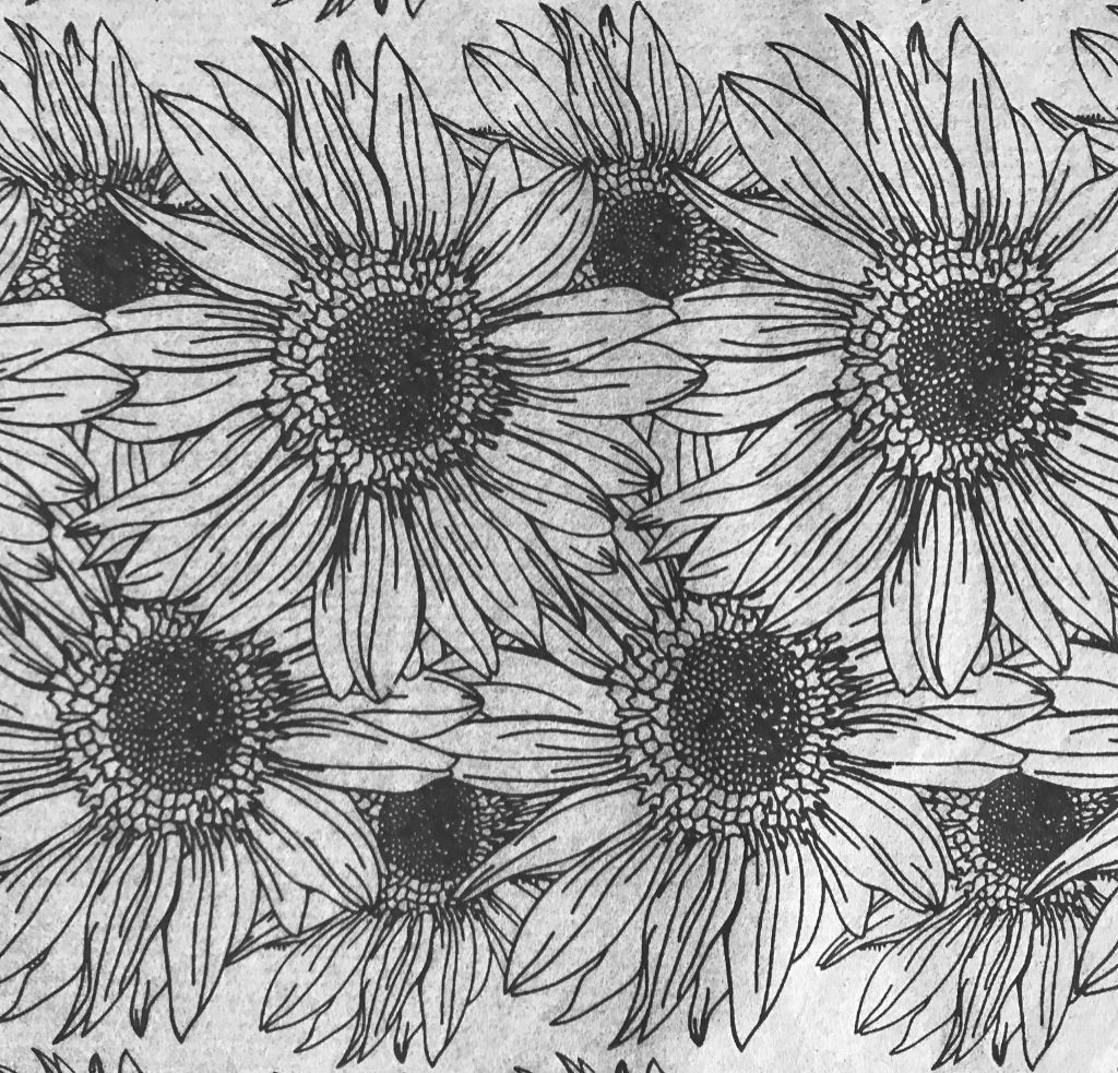 Sunflower Border - Underglaze Transfer Sheet