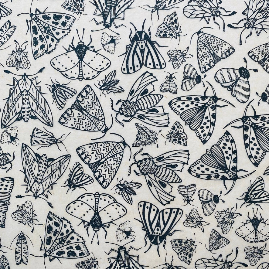 Moths - Underglaze Transfer Sheet