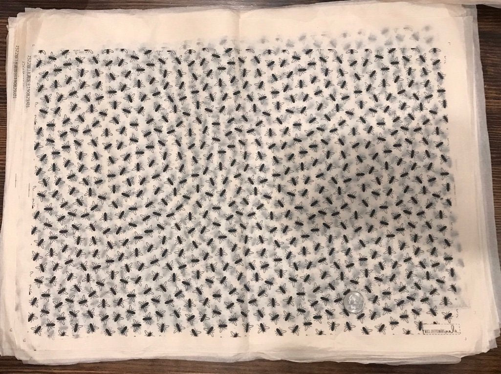 Flies - Underglaze Transfer Sheet