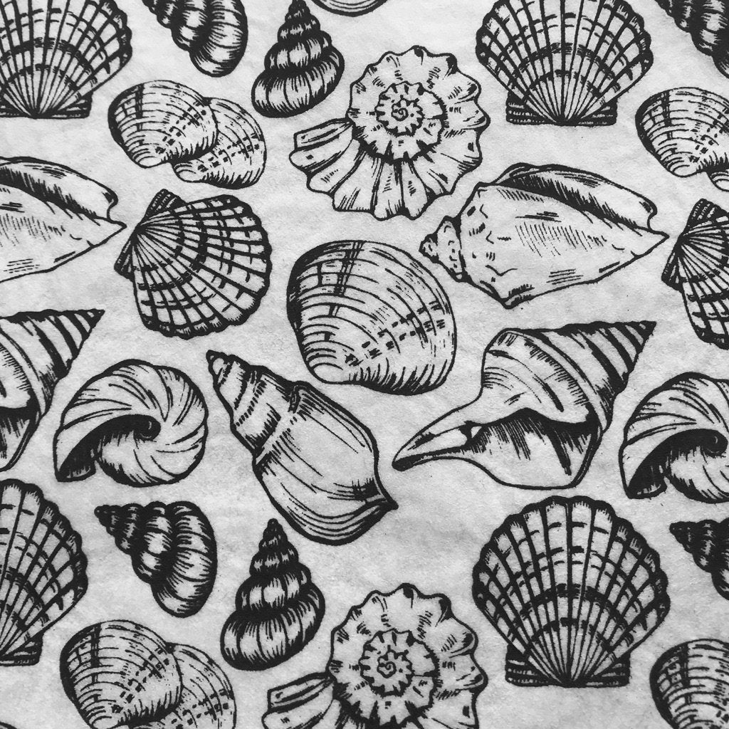 Shells Multi - Underglaze Transfer Sheet