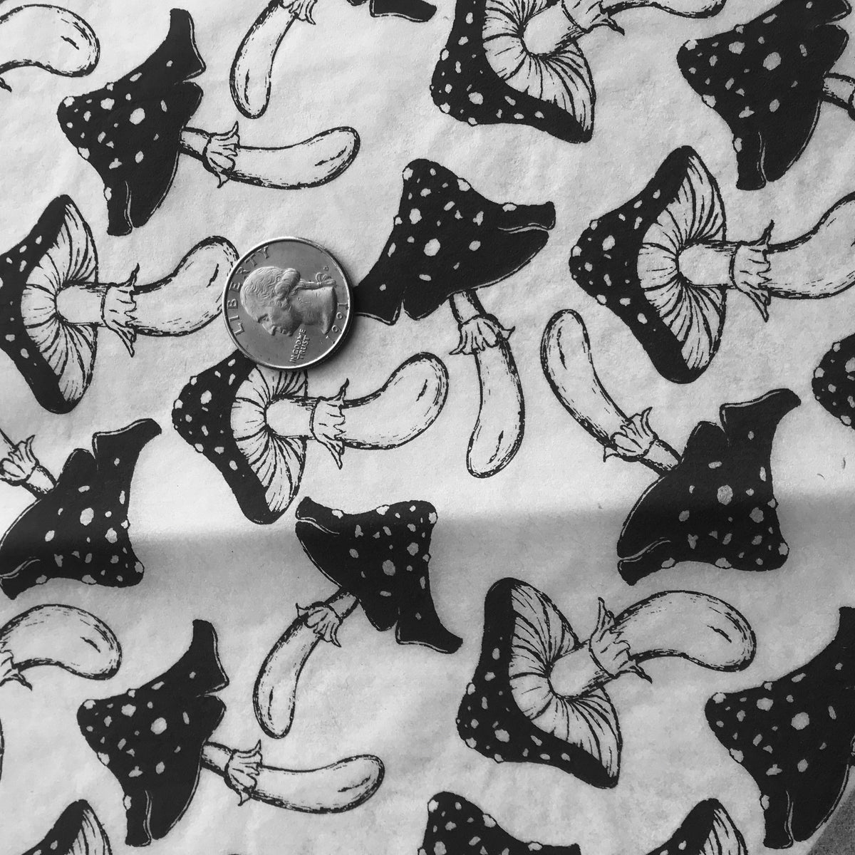 Mushrooms - Underglaze Transfer Sheet