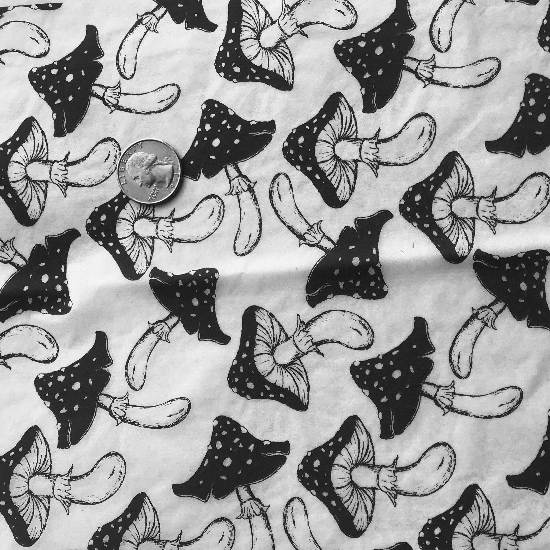 Mushrooms - Underglaze Transfer Sheet